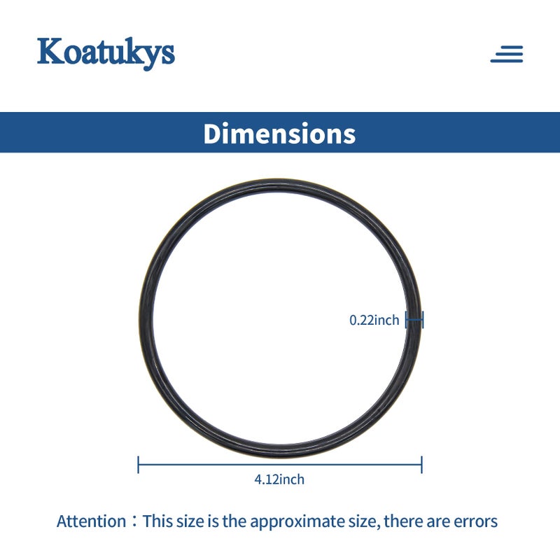 Koatukys R172009 O-Ring for Pentair Model 300/320 Pool and Spa Chlorinator Lid (2/Pack) - Image 2